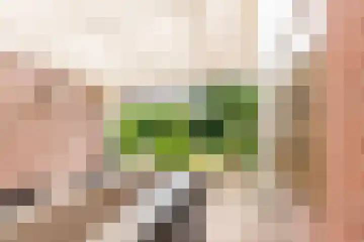 het Rabelink 22 Breedenbroek thumbnail 33