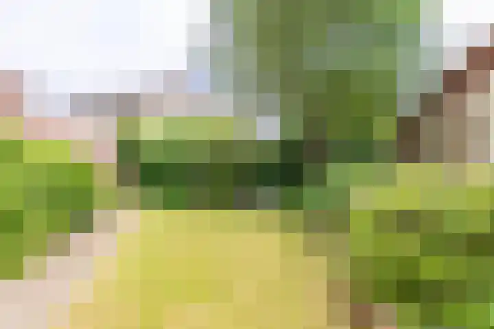 het Rabelink 22 Breedenbroek thumbnail 34