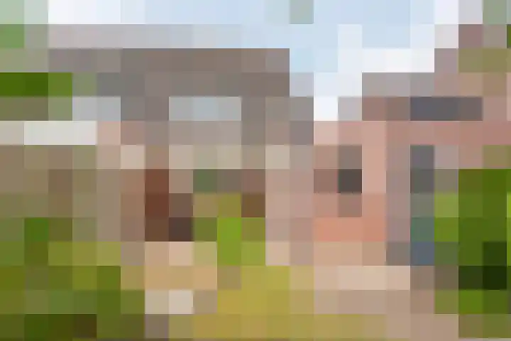 het Rabelink 22 Breedenbroek thumbnail 36