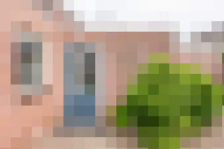 het Rabelink 22 Breedenbroek thumbnail 38