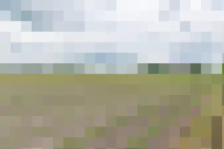 het Rabelink 22 Breedenbroek thumbnail 43