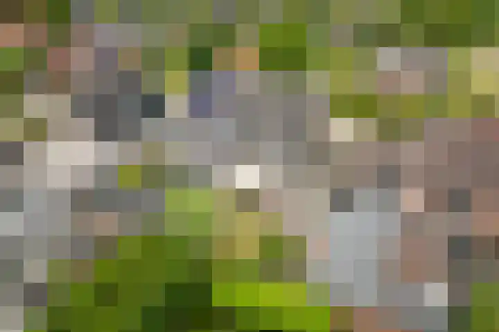 het Rabelink 22 Breedenbroek thumbnail 44