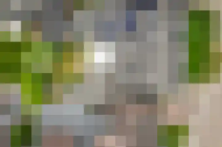 het Rabelink 22 Breedenbroek thumbnail 45