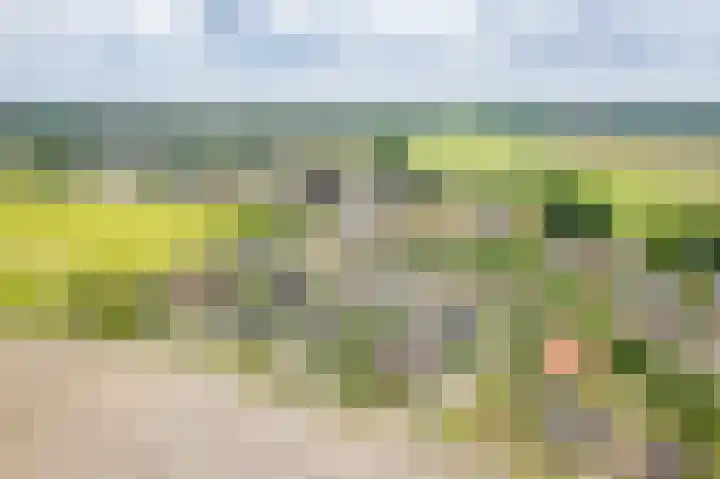 het Rabelink 22 Breedenbroek thumbnail 46
