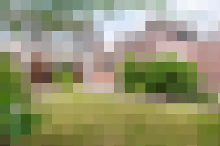 het Rabelink 22 Breedenbroek thumbnail 5