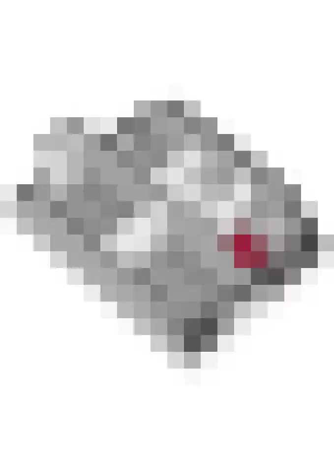 het Rabelink 22 Breedenbroek thumbnail 53