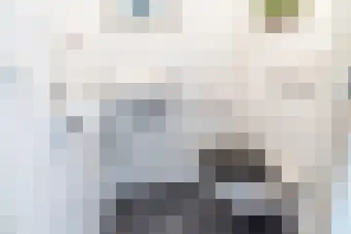 het Rabelink 22 Breedenbroek thumbnail 9
