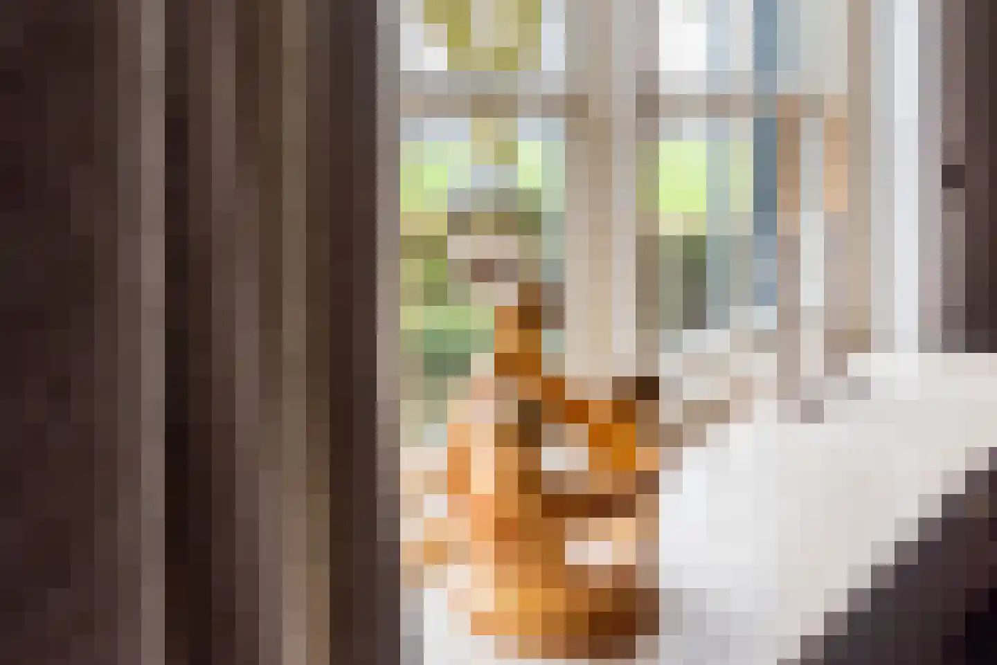 het Rabelink 51 Breedenbroek thumbnail 11