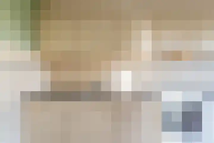 het Rabelink 8 Breedenbroek thumbnail 15