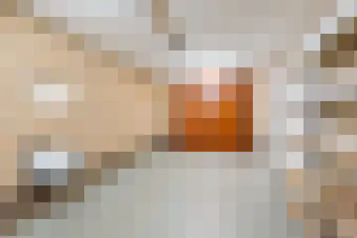 het Rabelink 8 Breedenbroek thumbnail 25