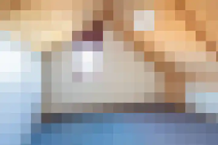 het Rabelink 8 Breedenbroek thumbnail 31