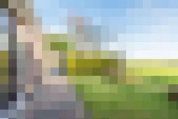het Rabelink 8 Breedenbroek thumbnail 33