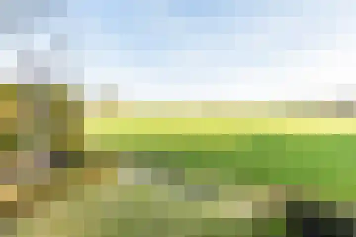 het Rabelink 8 Breedenbroek thumbnail 35