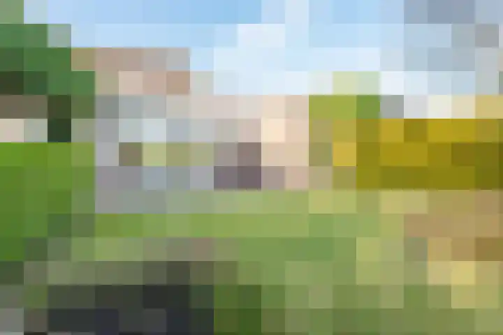 het Rabelink 8 Breedenbroek thumbnail 36