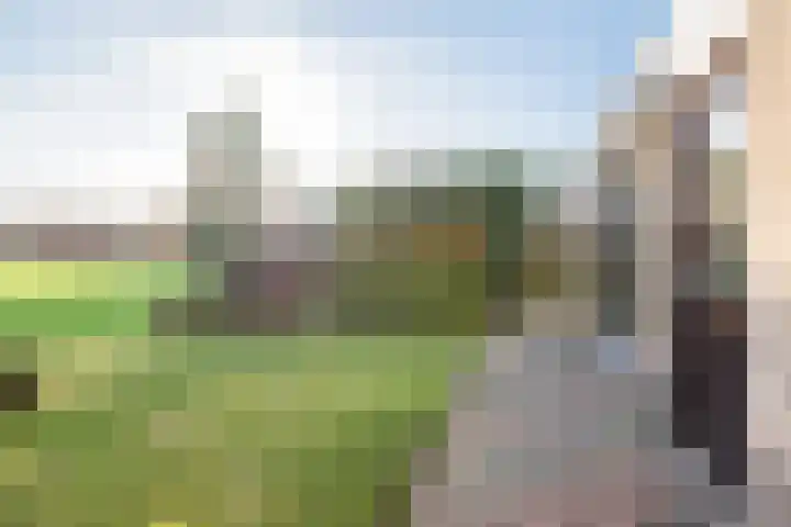 het Rabelink 8 Breedenbroek thumbnail 38