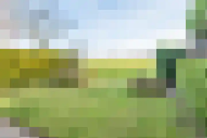 het Rabelink 8 Breedenbroek thumbnail 4