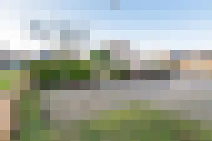 het Rabelink 8 Breedenbroek thumbnail 42