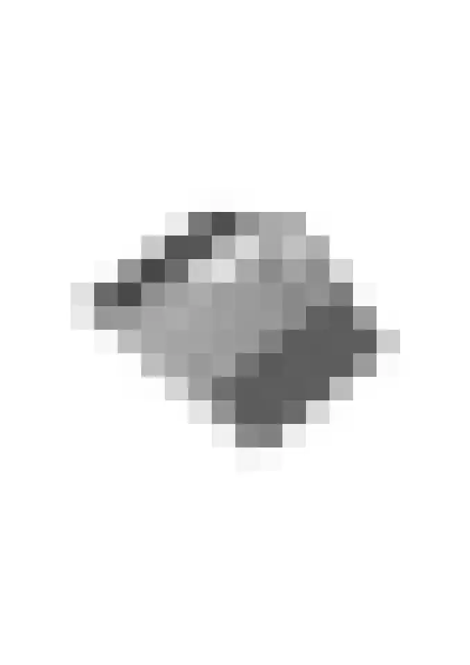 het Rabelink 8 Breedenbroek thumbnail 51