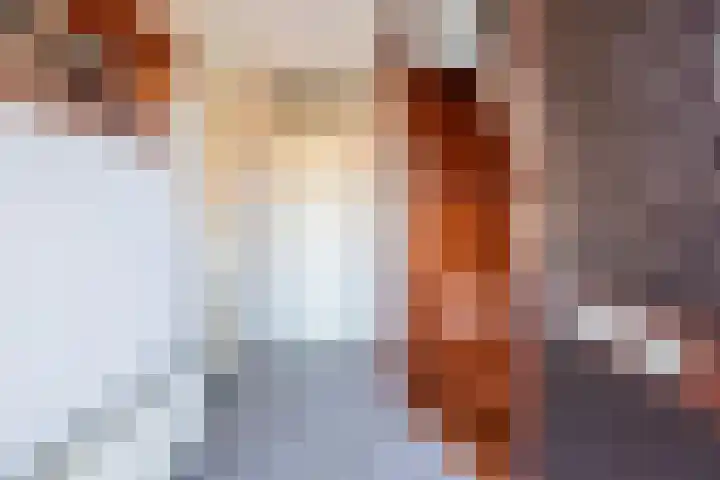 het Rabelink 8 Breedenbroek thumbnail 7