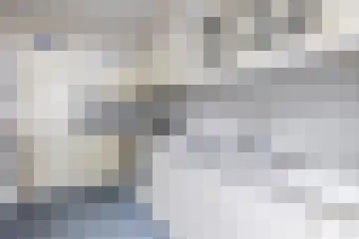 Het Rak 11 Muntendam thumbnail 20