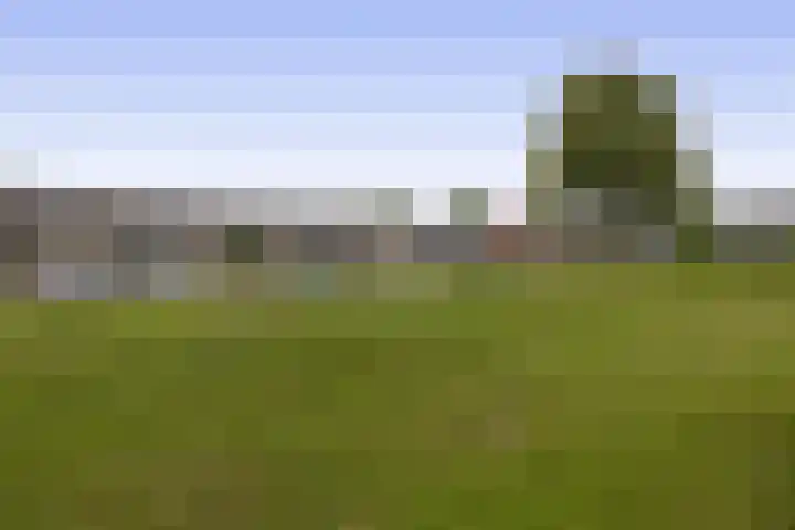 Het Rak 11 Muntendam thumbnail 37
