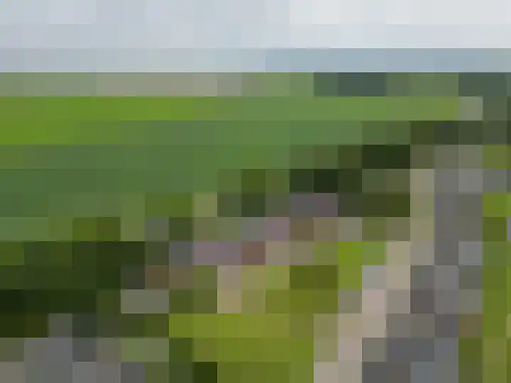 Het Rak 11 Muntendam thumbnail 41