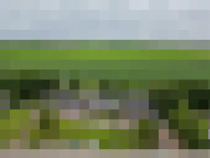Het Rak 11 Muntendam thumbnail 42