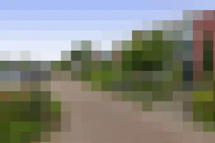 Het Rak 11 Muntendam thumbnail 6