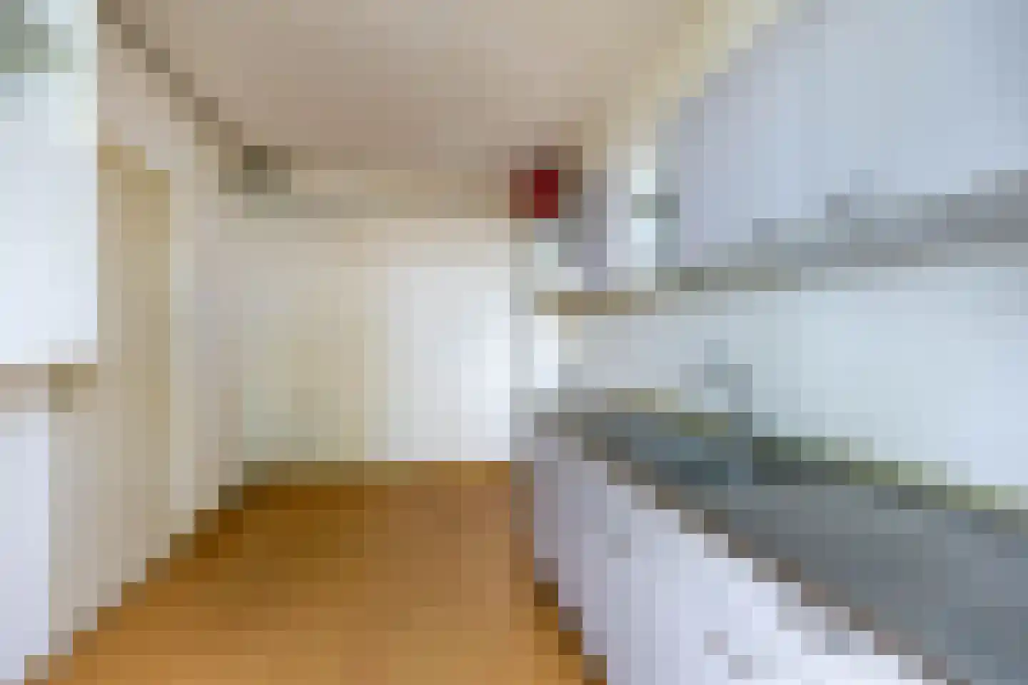 Het Rak 12 Muntendam thumbnail 13