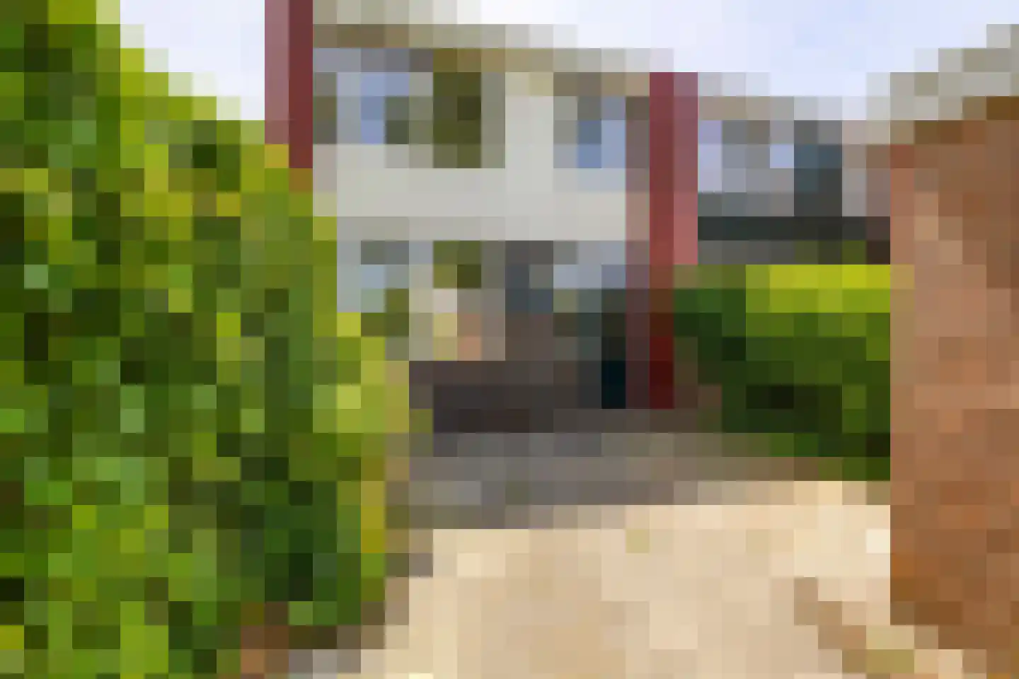 Het Rak 12 Muntendam thumbnail 32