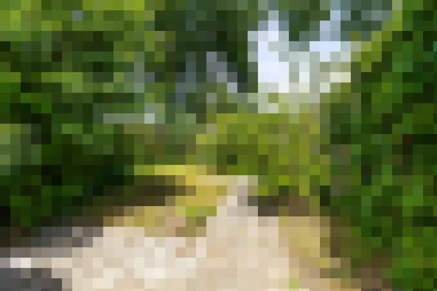 Het Rak 12 Muntendam thumbnail 36