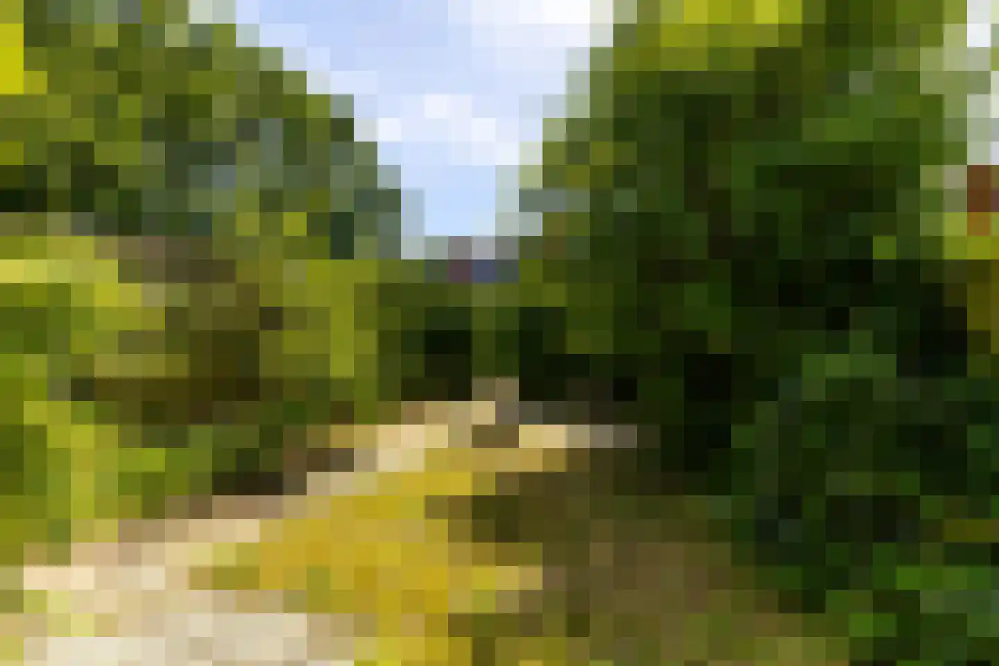 Het Rak 12 Muntendam thumbnail 37