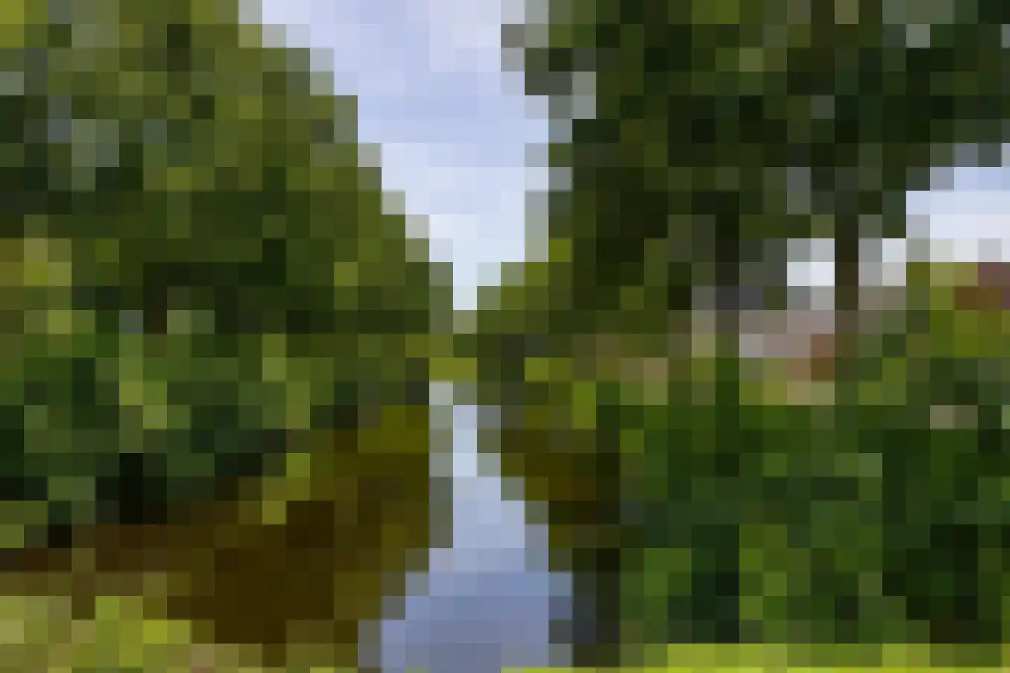 Het Rak 12 Muntendam thumbnail 43