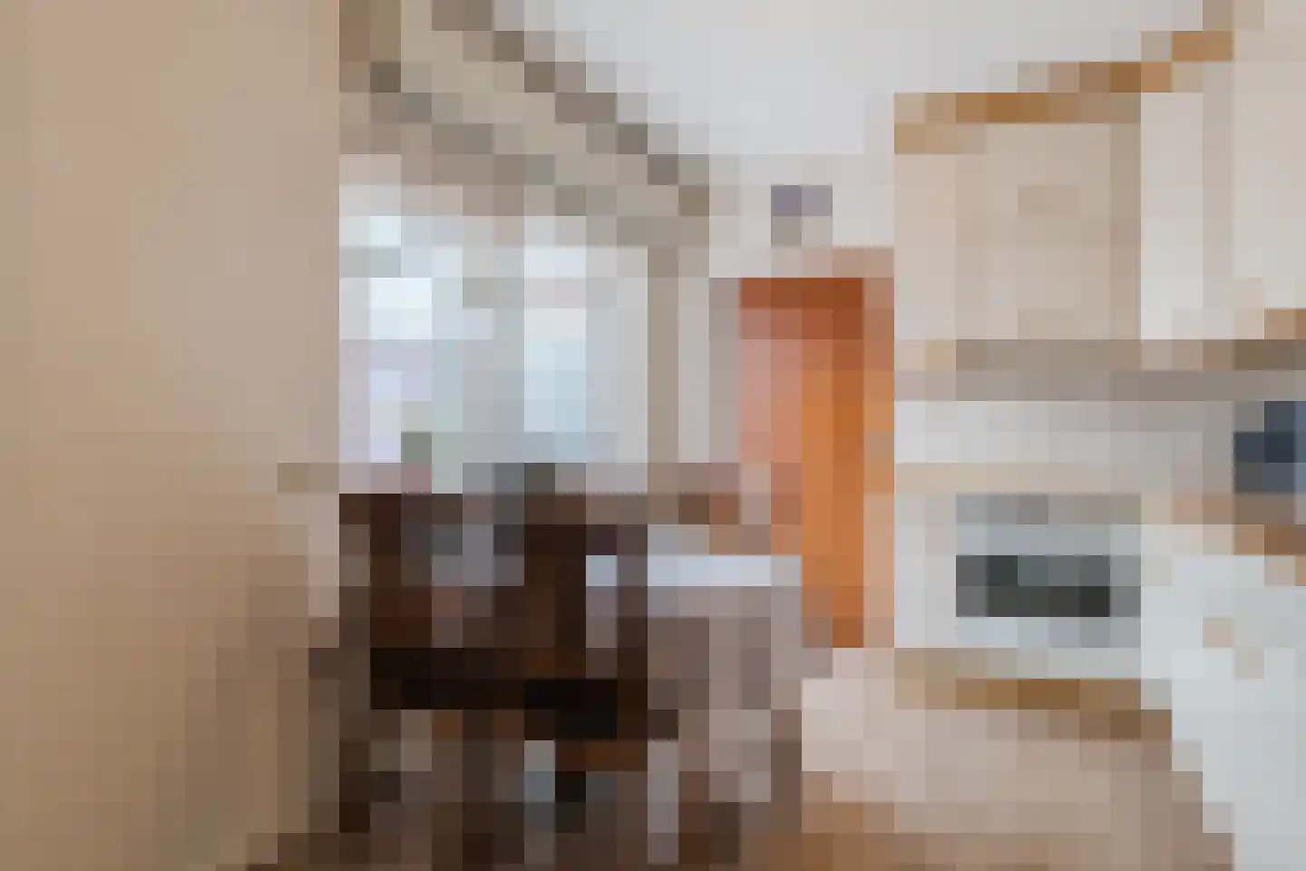 Het Ravelijn 5 Balkbrug thumbnail 17