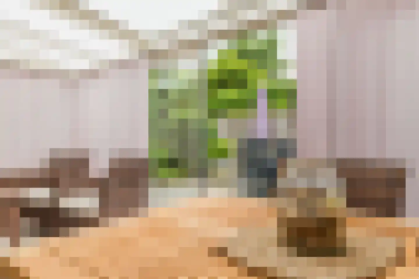 Het Ravelijn 5 Balkbrug thumbnail 20