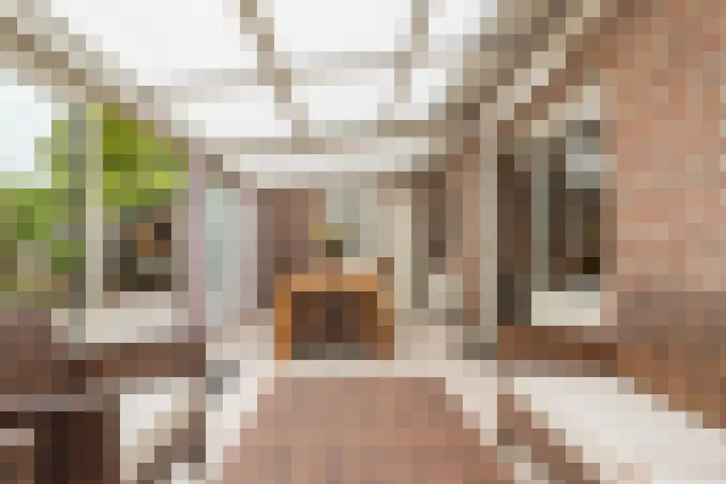 Het Ravelijn 5 Balkbrug thumbnail 22