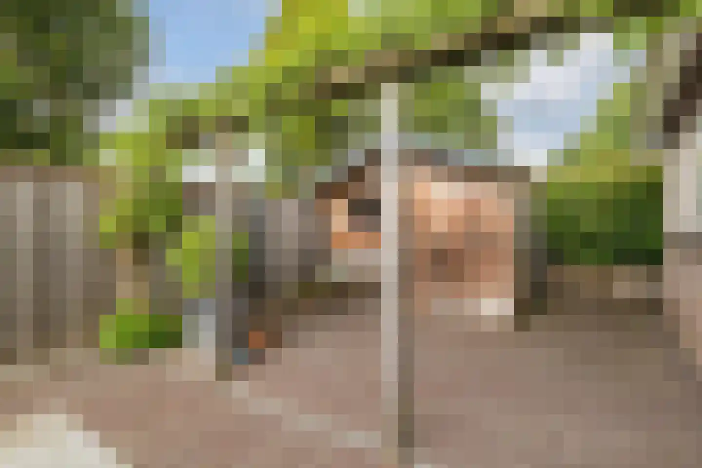 Het Ravelijn 5 Balkbrug thumbnail 44