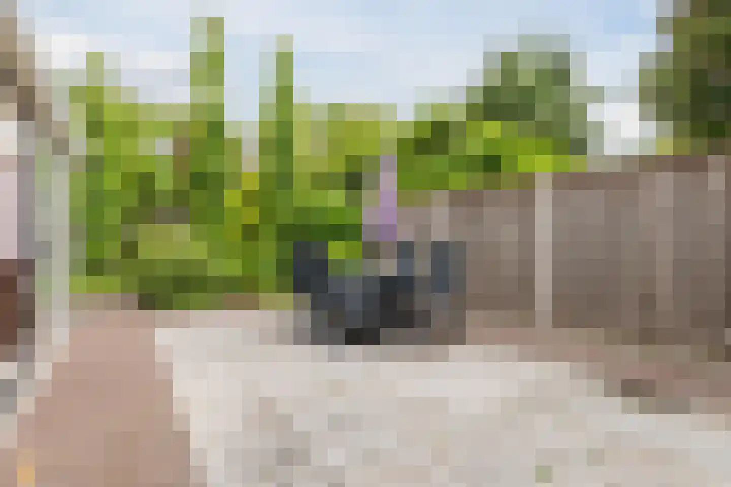 Het Ravelijn 5 Balkbrug thumbnail 45