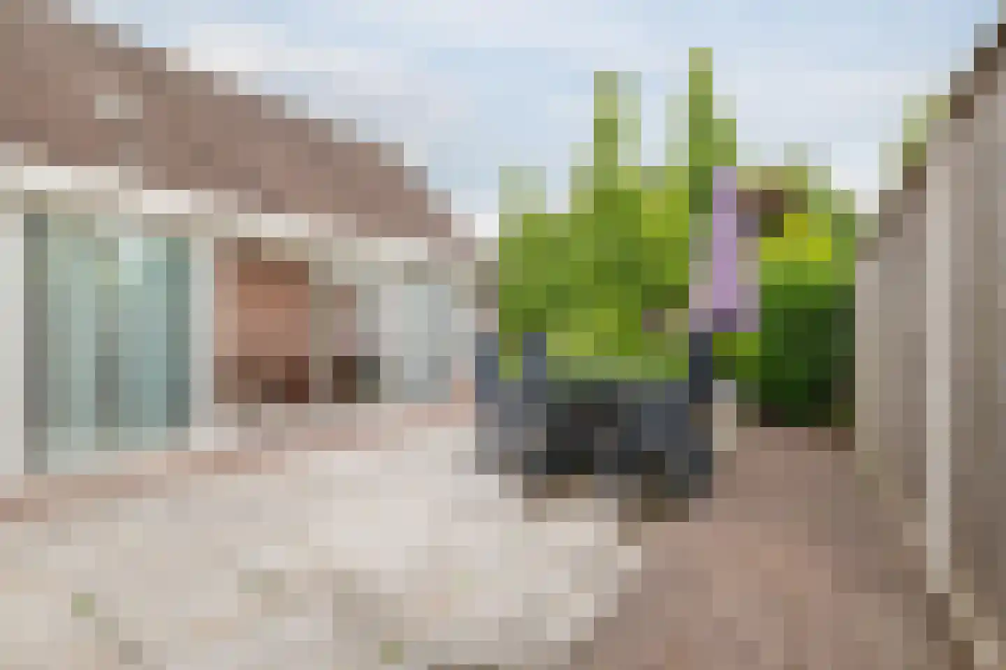 Het Ravelijn 5 Balkbrug thumbnail 46