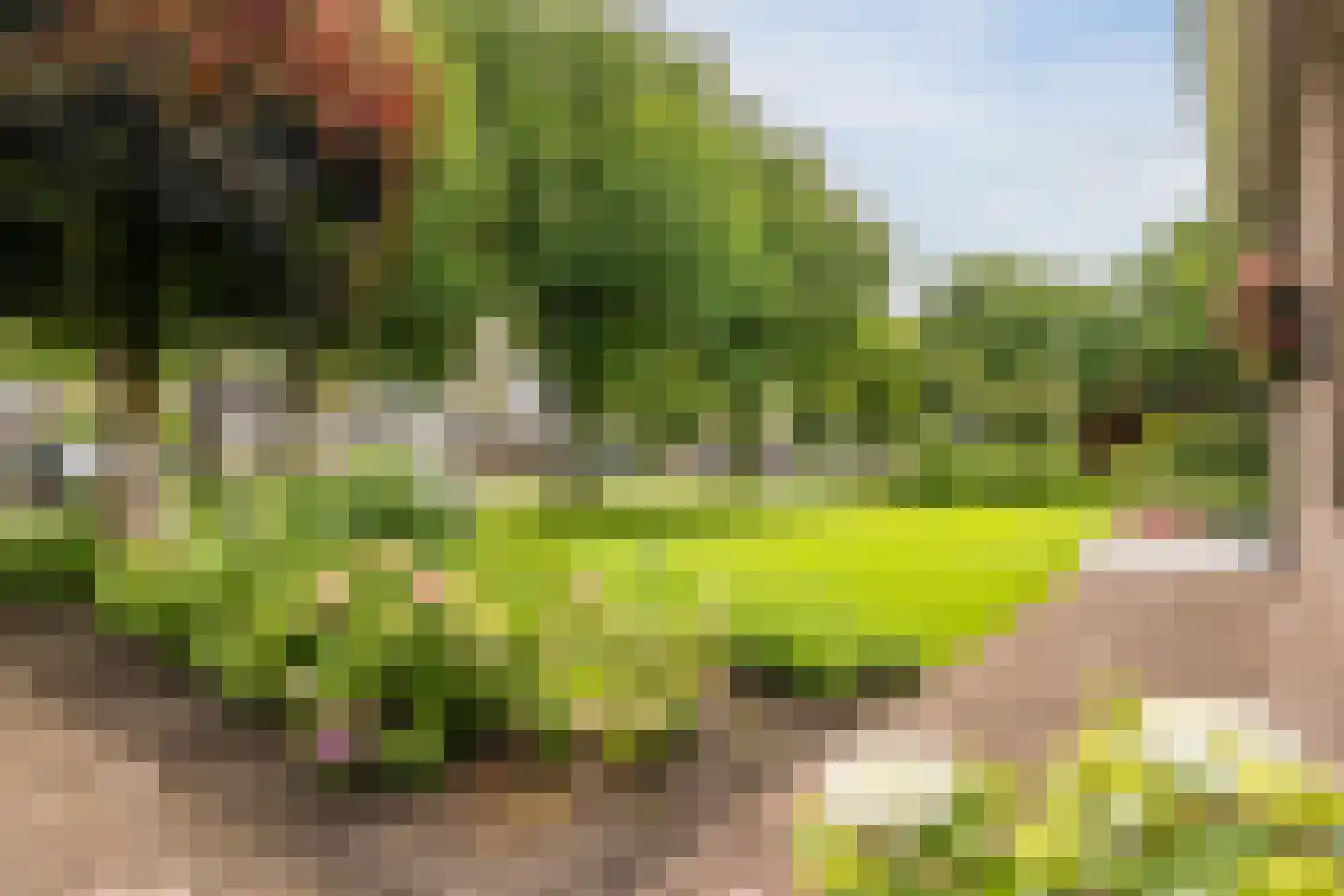 Het Ravelijn 5 Balkbrug thumbnail 48
