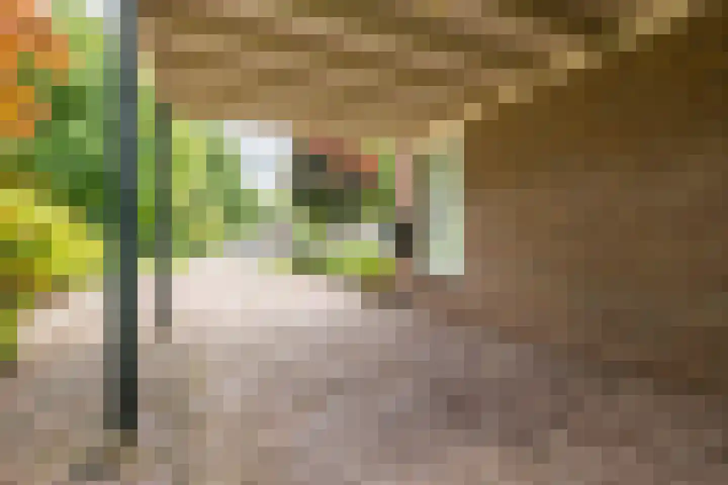 Het Ravelijn 5 Balkbrug thumbnail 49