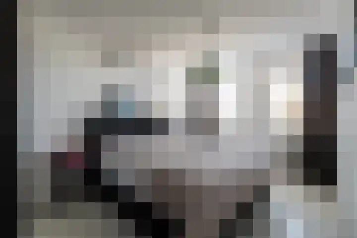 Het Reef 4 Goor thumbnail 12