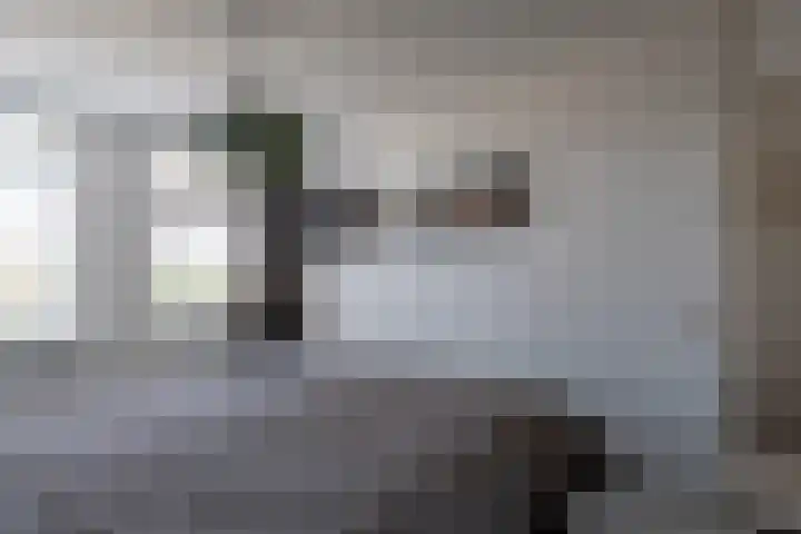 Het Reef 4 Goor thumbnail 13