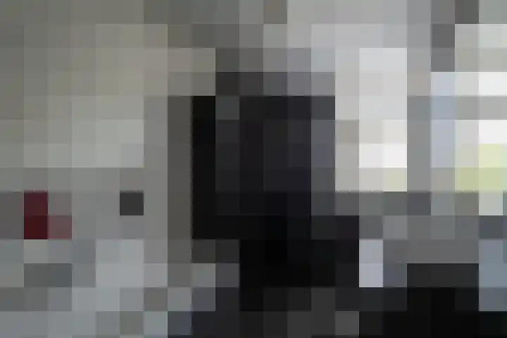 Het Reef 4 Goor thumbnail 14