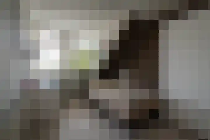 Het Reef 4 Goor thumbnail 18