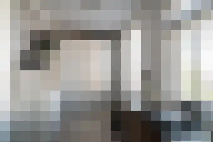 Het Reef 4 Goor thumbnail 19