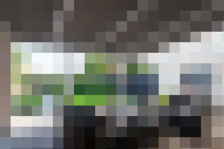 Het Reef 4 Goor thumbnail 24