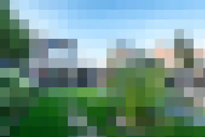Het Reef 4 Goor thumbnail 27
