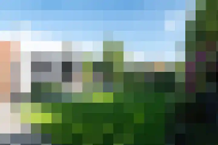 Het Reef 4 Goor thumbnail 28
