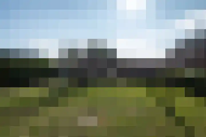 Het Reef 4 Goor thumbnail 33